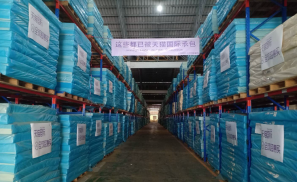 泰国政府代表点赞！天猫国际“国家爆款”承包计划推动乳胶枕增长72%