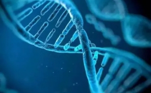 用基因开食谱，到底靠谱不靠谱？