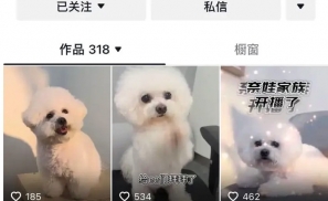 李佳琦的狗，代主出征抖音