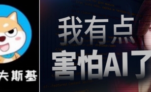 AI马斯克们搞电诈一年捞金几百亿！缅北简直弱爆了……